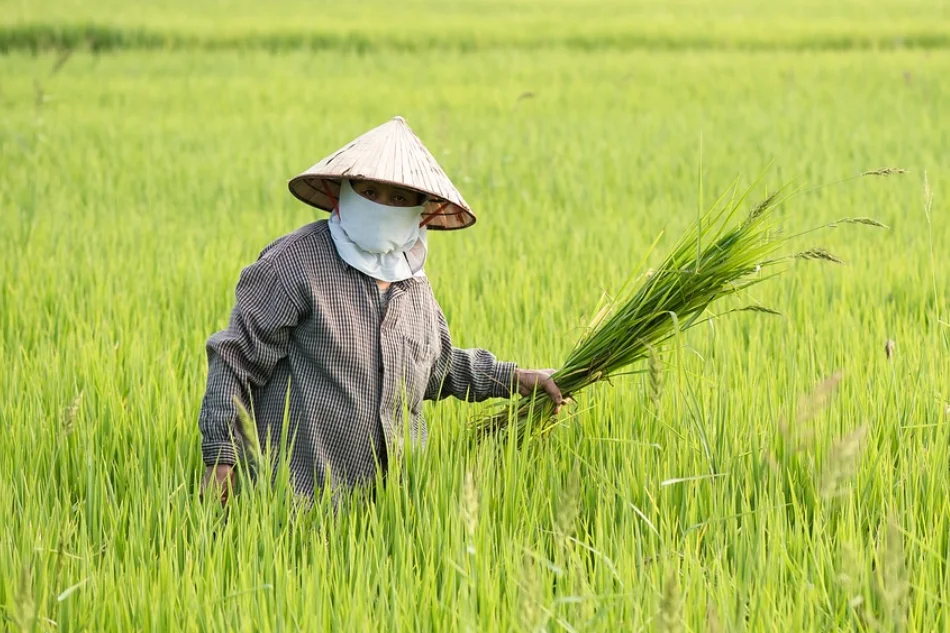 सरकार का किसानों के प्रति बड़ा कदम