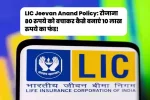 LIC Jeevan Anand Policy: रोजाना 80 रुपये को बचाकर कैसे बनाएं 10 लाख रुपये का फंड!